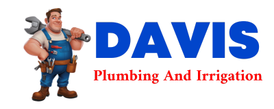 Trusted plumber in BURROWS